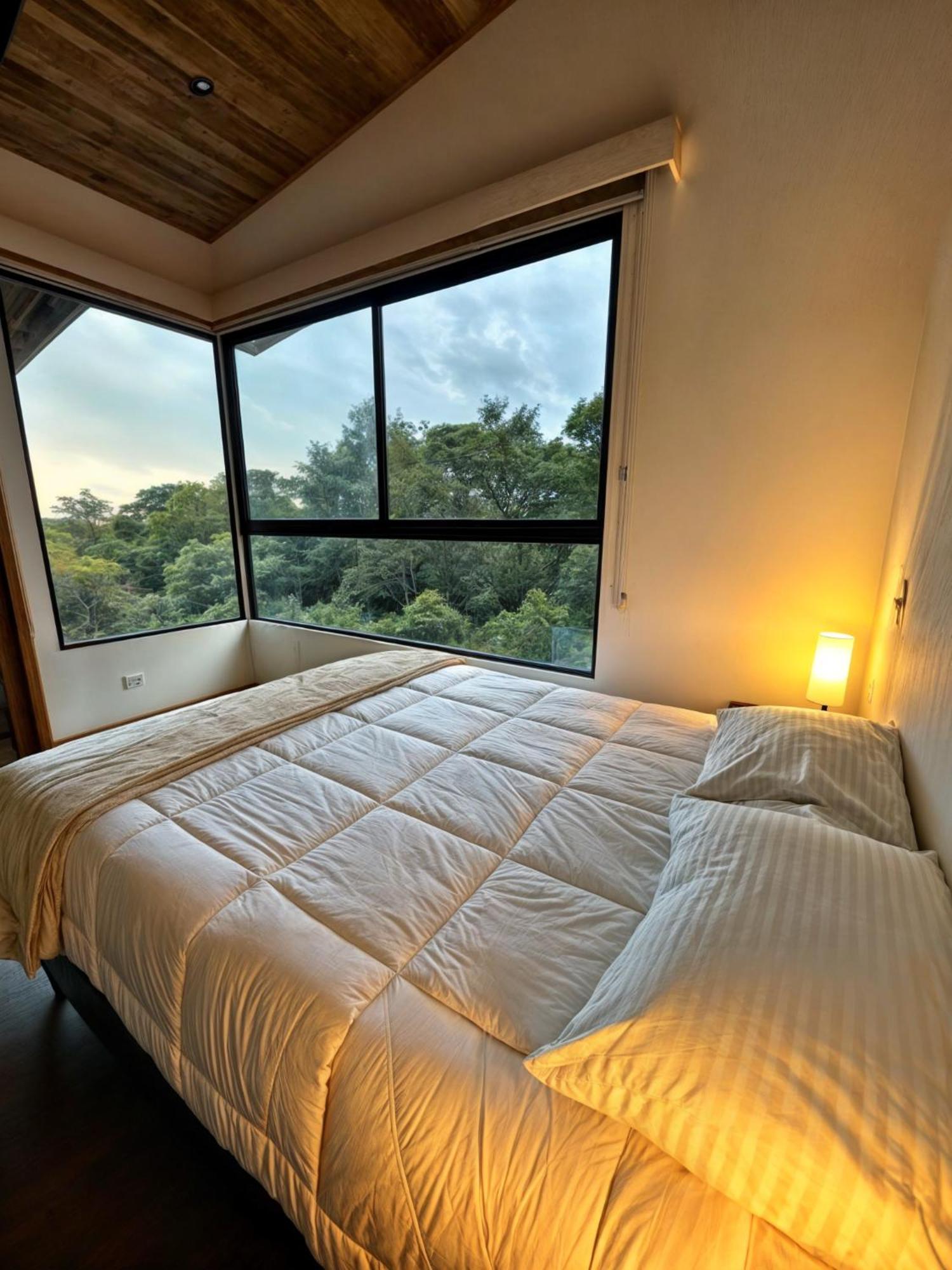 Moon Forest Apartments Monteverde ภายนอก รูปภาพ