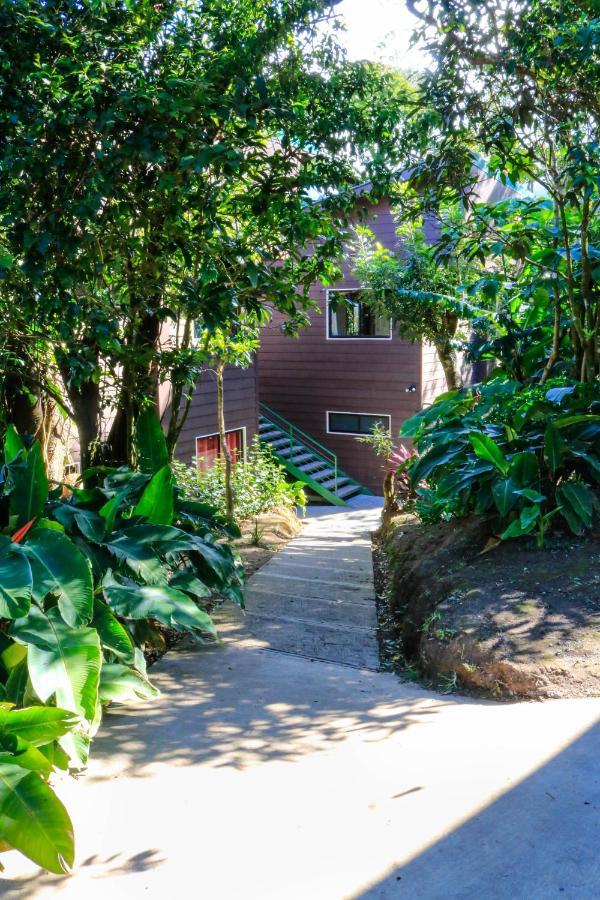 Moon Forest Apartments Monteverde ภายนอก รูปภาพ