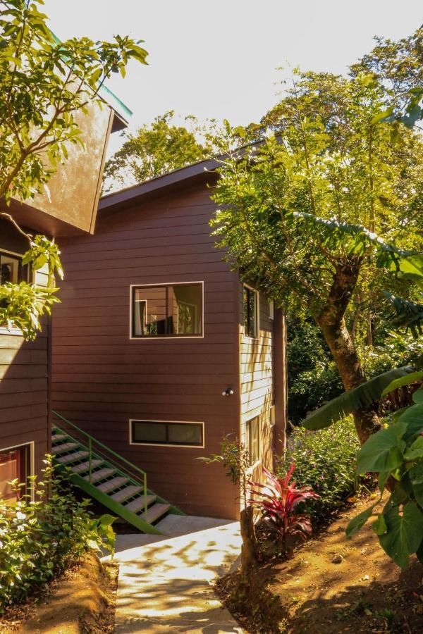 Moon Forest Apartments Monteverde ภายนอก รูปภาพ