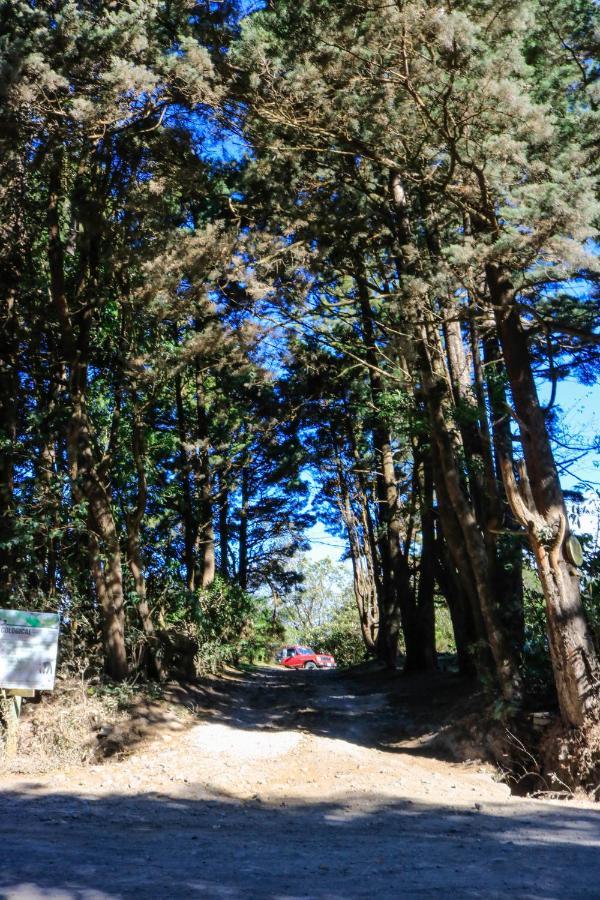 Moon Forest Apartments Monteverde ภายนอก รูปภาพ