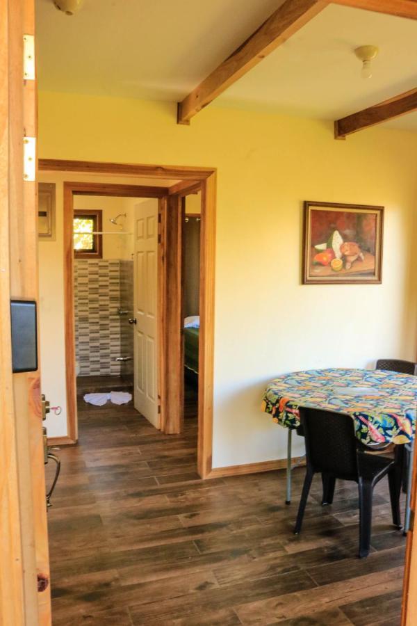 Moon Forest Apartments Monteverde ภายนอก รูปภาพ