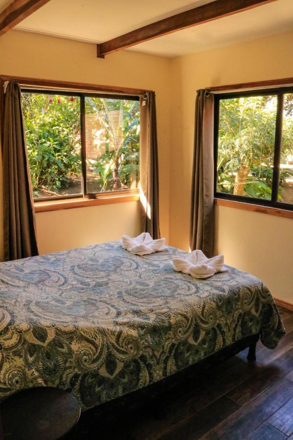 Moon Forest Apartments Monteverde ภายนอก รูปภาพ