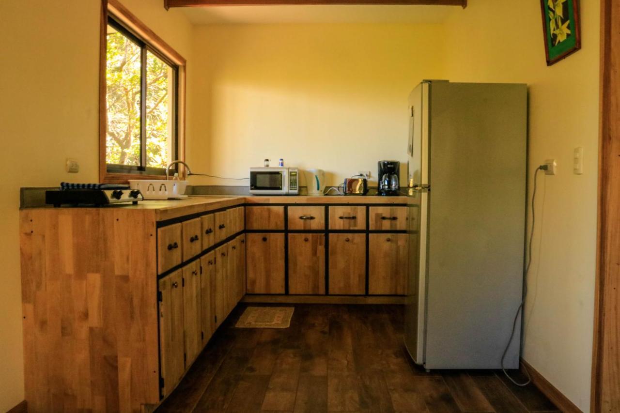 Moon Forest Apartments Monteverde ภายนอก รูปภาพ